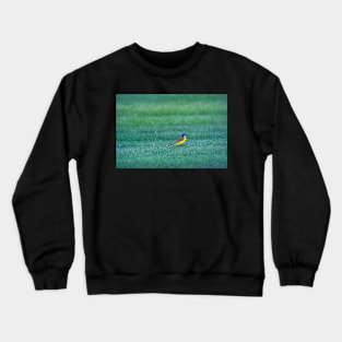 afternoon frolic Crewneck Sweatshirt